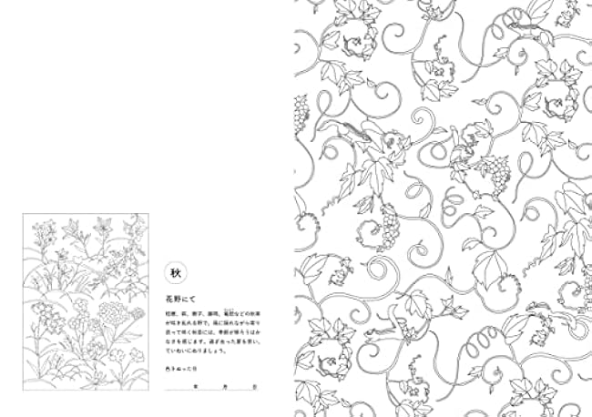 A coloring book of Japanese flowers that soothe your brain and heart and help you sleep comfortably. Japanese Coloring Book