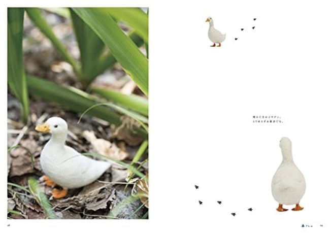 From realistic to cute! Wool felt birds Japanese Craft Book