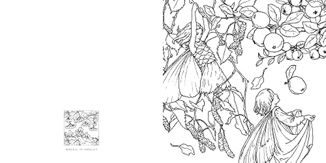 Flower Fairies Flower Fairies Coloring Book Japanese Coloring Book