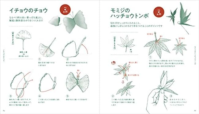 New flower play Japanese Craft Book