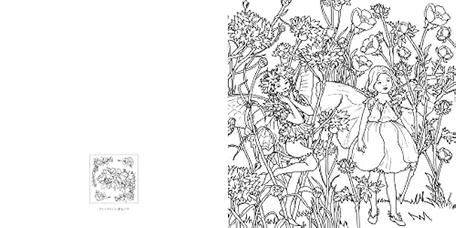 Flower Fairies Flower Fairies Coloring Book Japanese Coloring Book