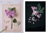 Seasonal cloth flower specimens Specimens and brooches made from paper patterns