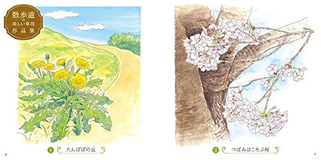 Sketch coloring book for adults: Beautiful flowers on the walking path Japanese Coloring Book