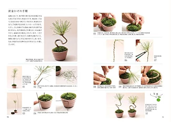 The most comprehensive textbook on moss Japanese Craft Book Mio Nakamura Feel The Garden - Japanese Craft Book