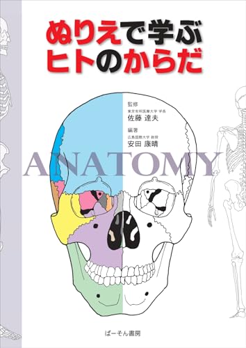 Learning about the human body through coloring pages Japanese Craft Book