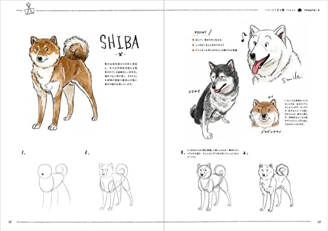 A dog and cat illustration practice book that anyone can draw cutely in 4 steps