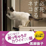 Photo collection Too Desperate Cat (Tatsumi Mook)