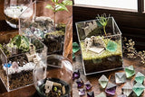 Mineral Terrarium Recipe Mineral garden in an aquarium and glass bottle