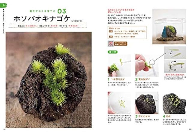 How to make a fascinating moss terrarium Eisaku Ishikawa michikusa - Japanese Craft Book