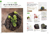 How to make a fascinating moss terrarium Eisaku Ishikawa michikusa - Japanese Craft Book