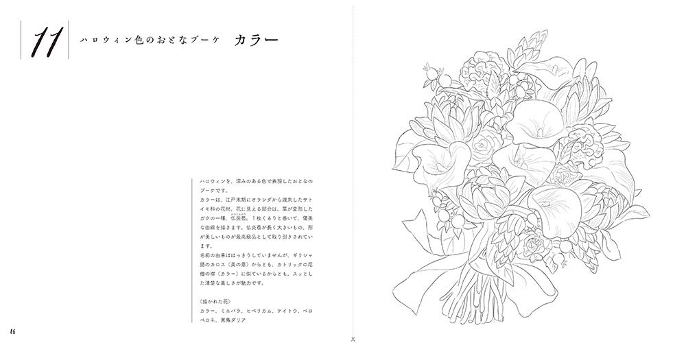 Adult sketch coloring book - Beautiful botanical art ?Seasonal flower arrangements? Japanese Coloring Book