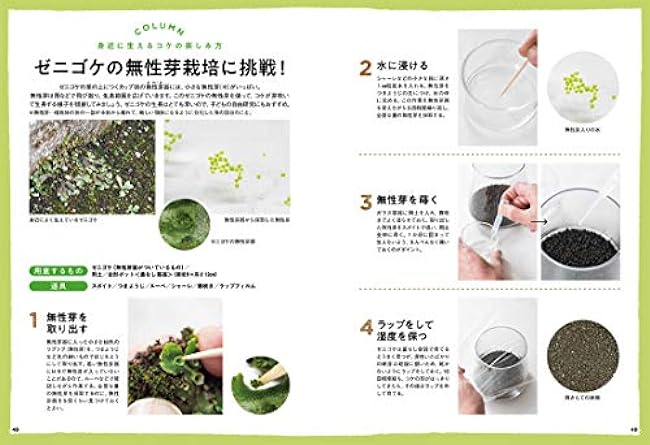 How to make a fascinating moss terrarium Eisaku Ishikawa michikusa - Japanese Craft Book