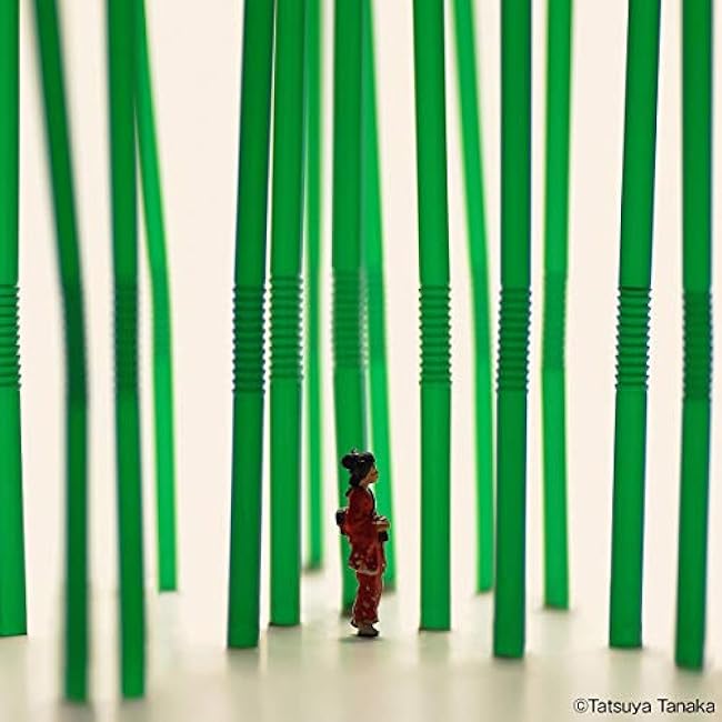 MINIATURE TRIP in JAPAN (Tatsuya Tanaka ) Japanese Craft Books