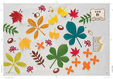 Fold and cut Irogami to decorate your life Seasonal paper cutting Flower motifs & 158 useful designs for events Japanese Craft Book