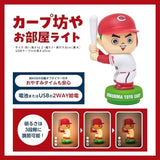 Carp Boy Room Light Book (Variety)