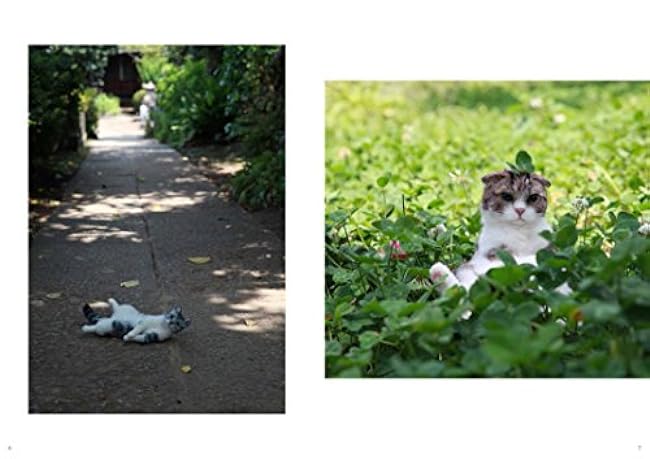 I love to make them mine NEEDLE FELT Realistic CATS Hinali needle wool felt real cat handcraft - Japanese Craft Book