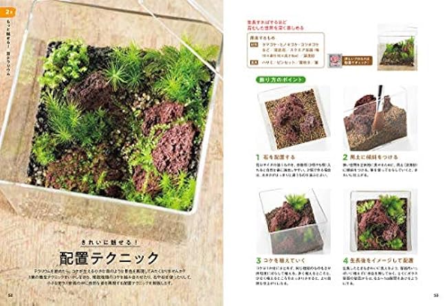 How to make a fascinating moss terrarium Eisaku Ishikawa michikusa - Japanese Craft Book