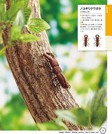 Crochet Knitting with embroidery thread Insect encyclopedia - Japanese Craft Book