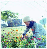 The beauty of flowers and the scenery of daily life