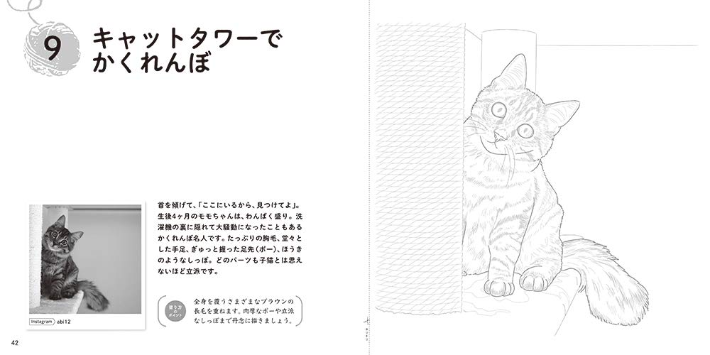 Adult sketch coloring book Cute cat A soothing fluffy collection! Japanese Coloring Book