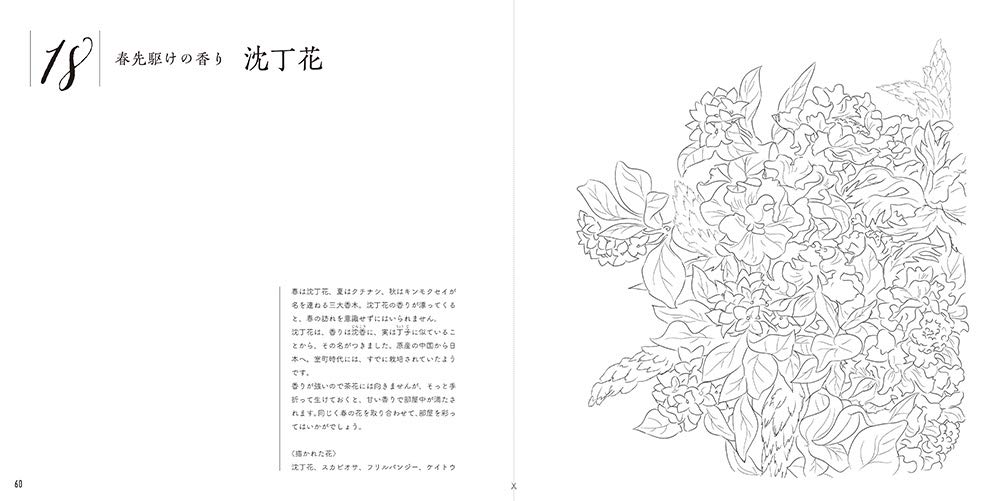 Adult sketch coloring book - Beautiful botanical art ?Seasonal flower arrangements? Japanese Coloring Book