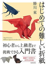 Difficult origami for the first time Origami - Japanese Craft Book