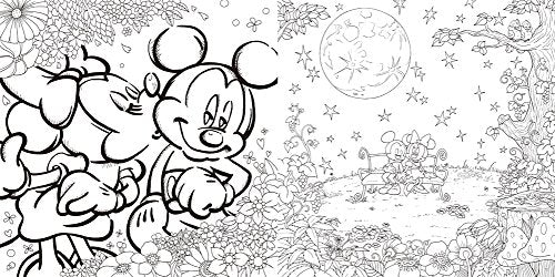 Adult Disney Wonderful Coloring Lesson Book Japanese Coloring Book