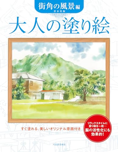 Adult Coloring Book: Street Scenes Japanese Craft Book