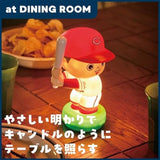 Carp Boy Room Light Book (Variety)