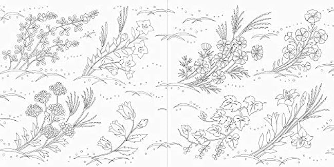 Pai International Japanese Patterns and Flower Scenery of the Four Seasons Coloring Book Japanese Coloring Book