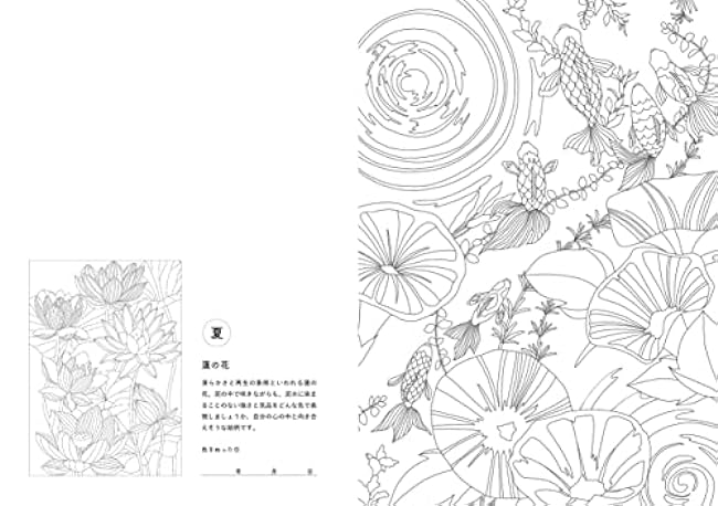 A coloring book of Japanese flowers that soothe your brain and heart and help you sleep comfortably. Japanese Coloring Book