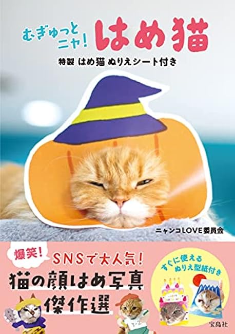 Hame Neko with special Hame Neko coloring sheet Japanese Craft Book - Japanese Craft Book