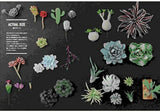 Miniature succulents made with resin clay: Small and realistic miniatures of plump succulents and unusual plants.