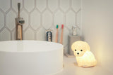 Toy Poodle Room Light Book