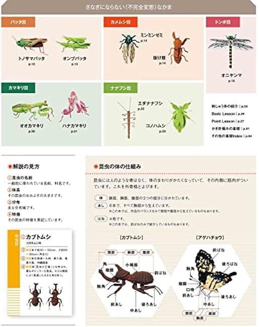 Crochet Knitting with embroidery thread Insect encyclopedia - Japanese Craft Book