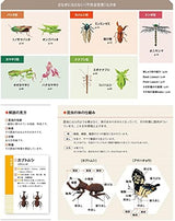 Crochet Knitting with embroidery thread Insect encyclopedia - Japanese Craft Book