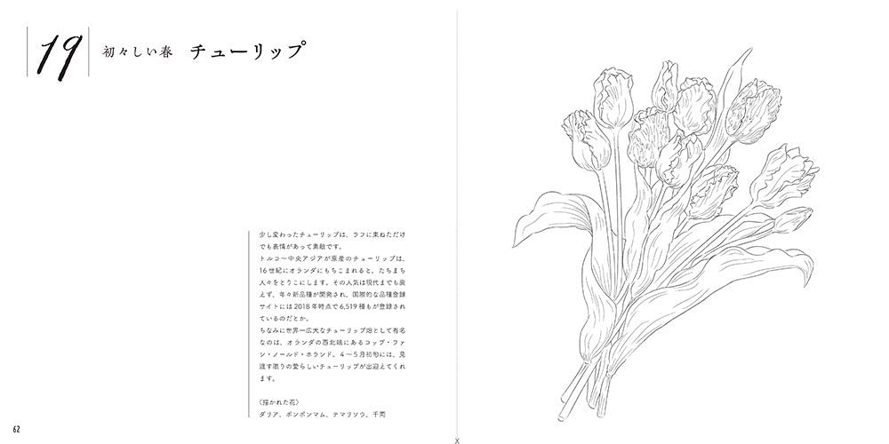 Adult sketch coloring book - Beautiful botanical art ?Seasonal flower arrangements? Japanese Coloring Book