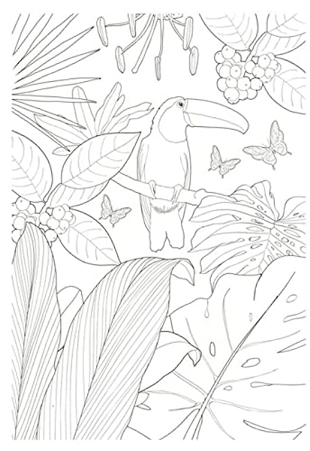 Relaxing coloring book Mysterious flower garden Japanese Coloring Book