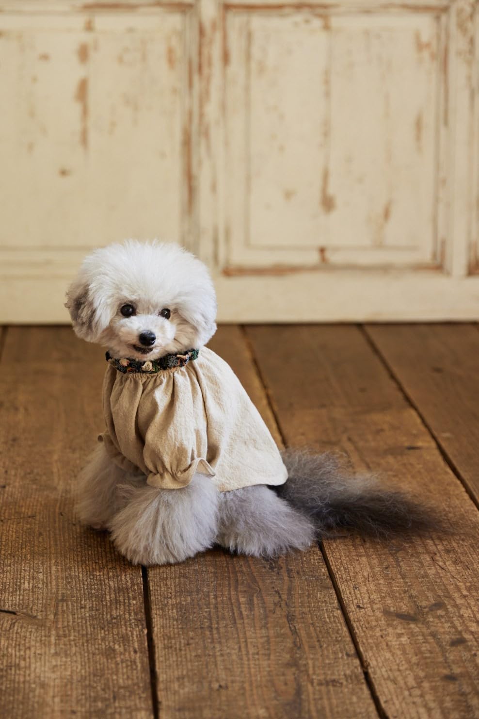 Cute dog clothes for small dogs - Japanese Craft Book