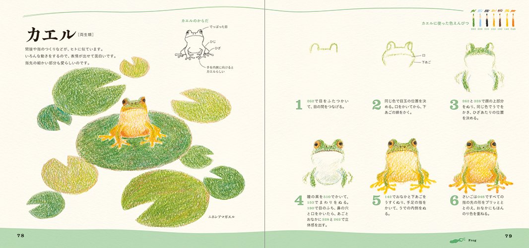 Cute water creatures with colored pencils Japanese Coloring Book