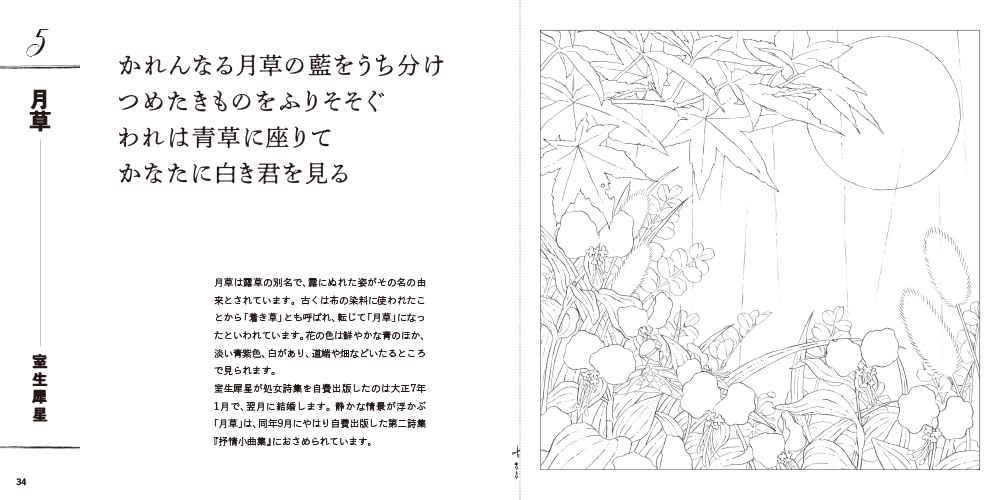 Adult sketch coloring book: Flower and lyrical poetry collection - Japanese Craft Book