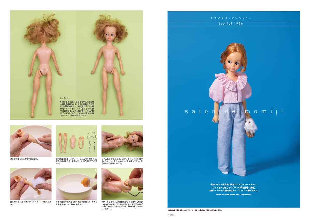 Dollybird vol.36 Japanese Book Making clothes Doll culture doll Sewing b.m.b.Cherry Nendoroid - Japanese Craft Book