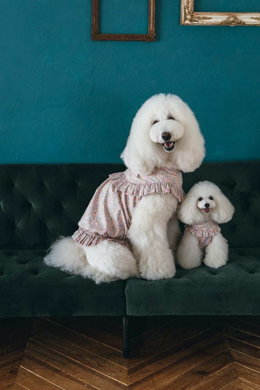 Commercially OK! Stylish dog clothes: Enjoy layering and coordinating outfits - Japanese Craft Book