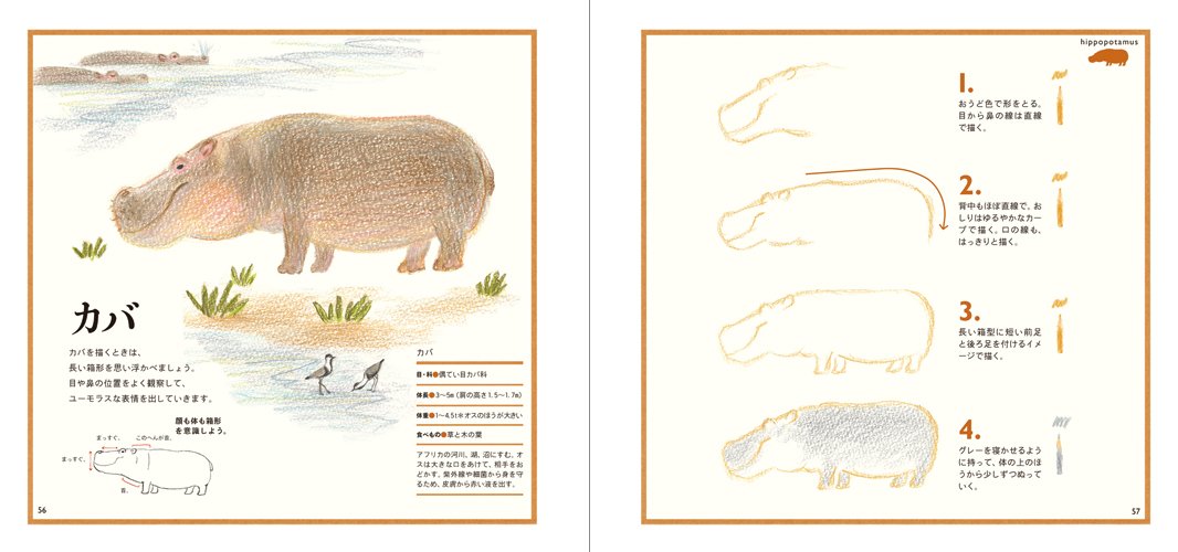 Cute animals with colored pencils - your first lesson Japanese Coloring Book