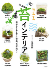 My first moss interior - Japanese Craft Book