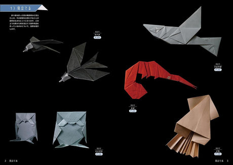 Creative origami: How to turn inspiration into form Ideas, realization, and development of shapes - Japanese Craft Book