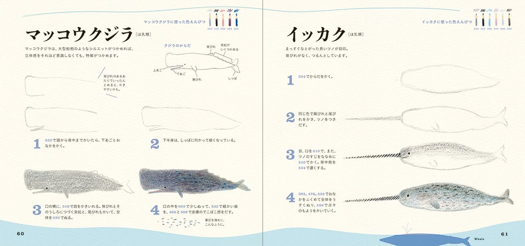 Cute water creatures with colored pencils Japanese Coloring Book