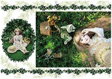 Miwadoll Le Papillon Papillon photo collection Japanese Craft Book