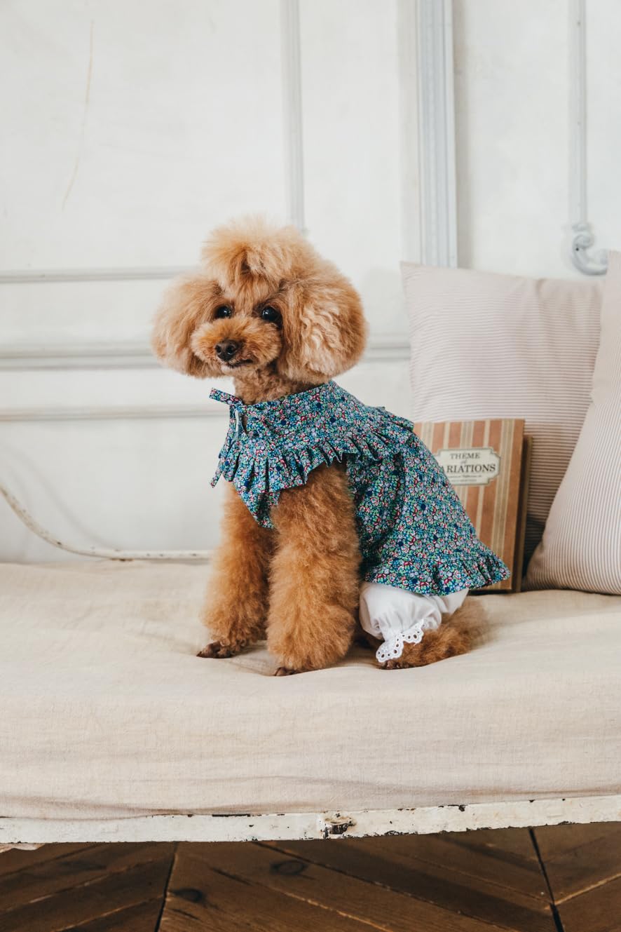 Commercially OK! Stylish dog clothes: Enjoy layering and coordinating outfits - Japanese Craft Book