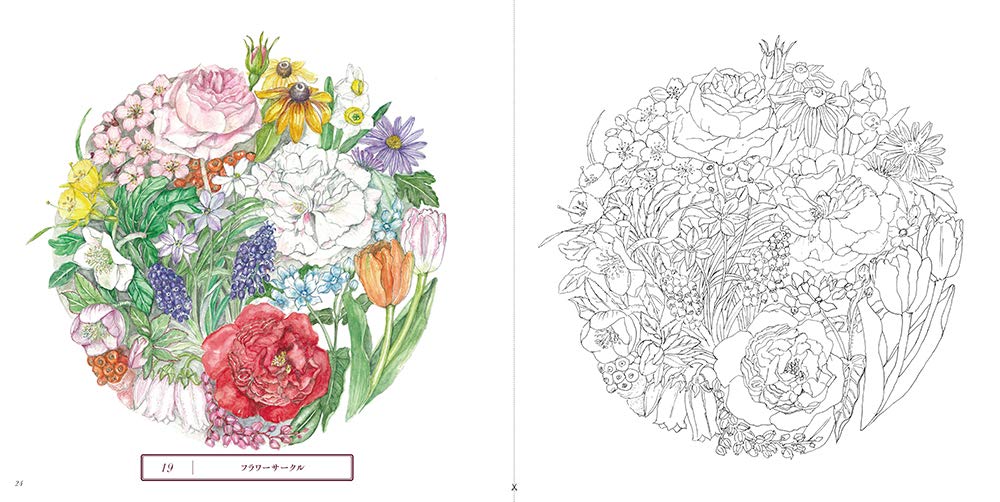 Sketch coloring book for adults - Beautiful botanical art - Garden of the four seasons - Japanese Coloring Book